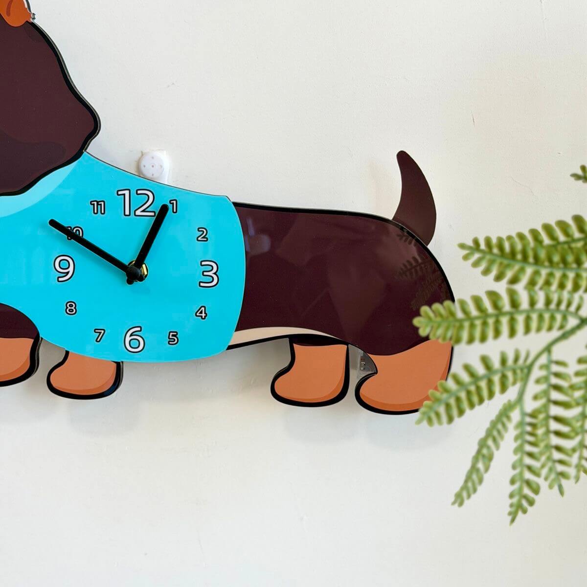 Dachshund dark brown clock close-up showing adorable face and short legs