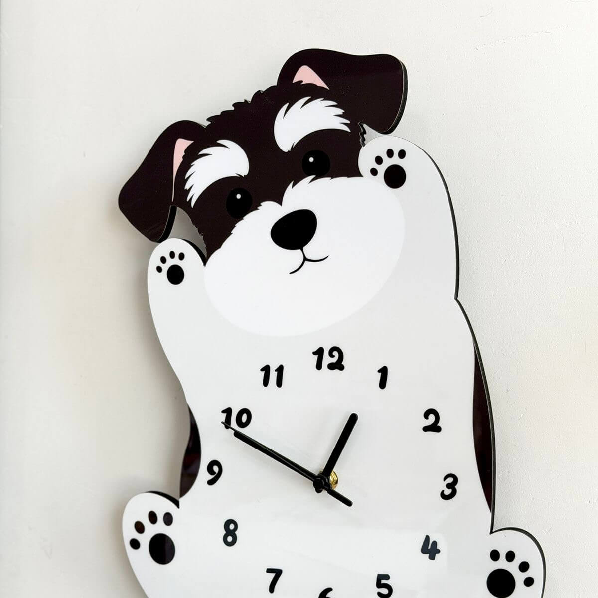 Schnauzer standing clock close-up showing adorable face and paw details
